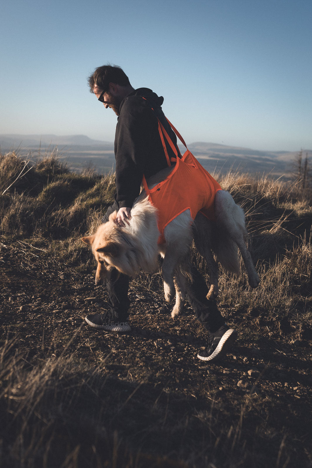 non-stop-dogwear-dog-rescue-sling-hunderucksack-trage image 2