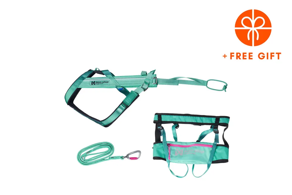 non-stop-dogwear-canix-kit-aqua-canicross-set-mit-freemotion-harness-5-0 image 1