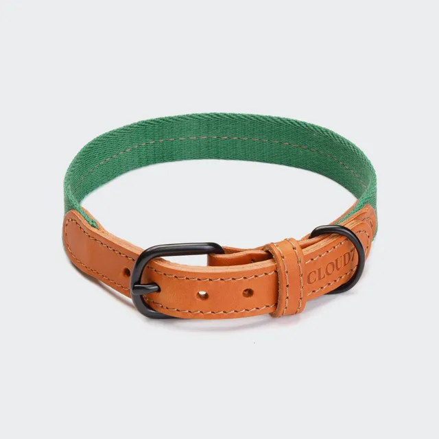 cloud7-madeira-hundehalsband-amber-baumwolle-leder image 1