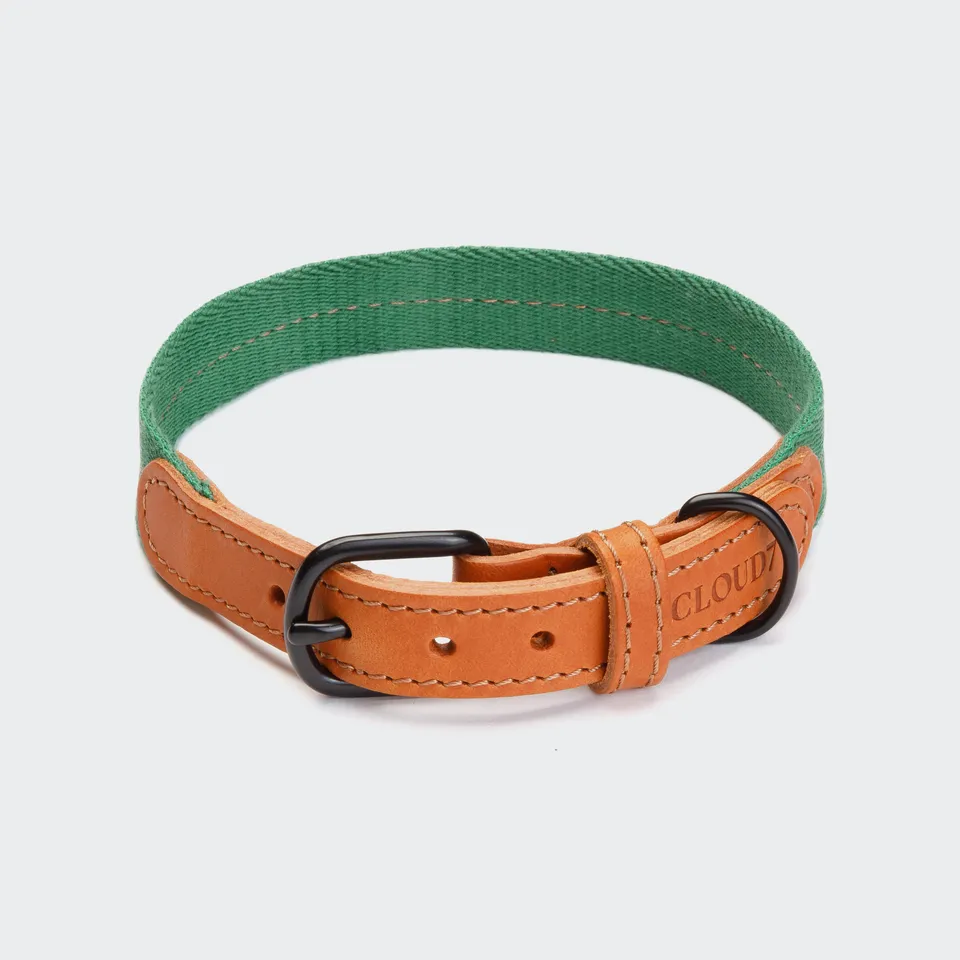 cloud7-madeira-hundehalsband-amber-baumwolle-leder image 1