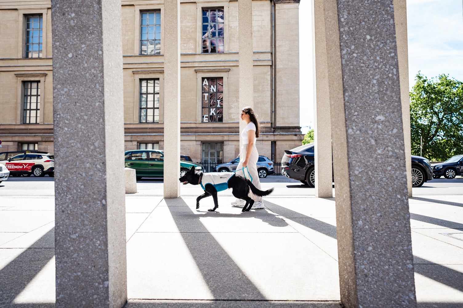non-stop-dogwear-cooling-pull-on-weste-hund-k-hlweste image 3