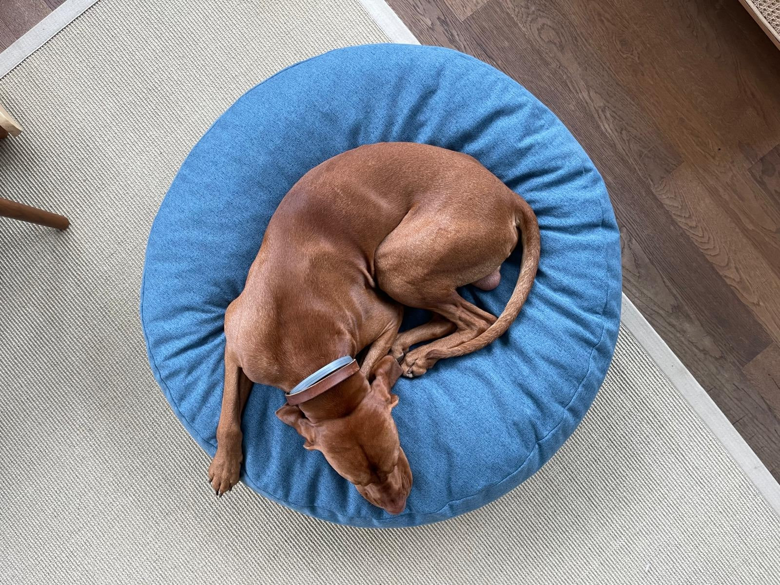 molly-and-stitch-the-cloud-hundebett-pouf-shadow-grey image 4