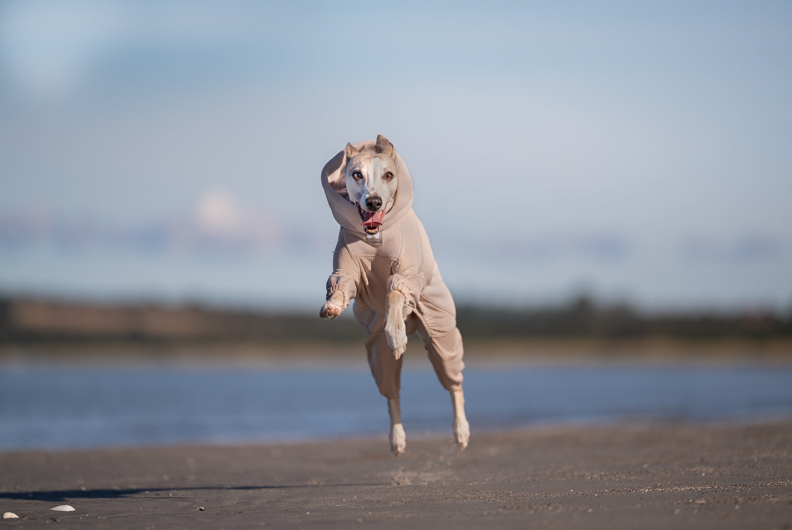 non-stop-dogwear-trail-quest-fleece-overall-hundeoverall image 3