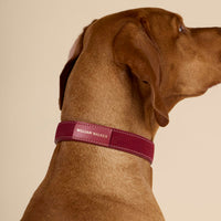 william-walker-luxe-wildleder-hundehalsband-lambrusco-bordeauxrot image 5