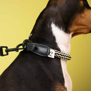 cloud7-mauerpark-zigzag-hundehalsband-vegan-schwarz image 3