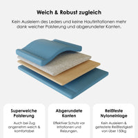 william-walker-leder-hundehalsband-sky-hellblau image 2