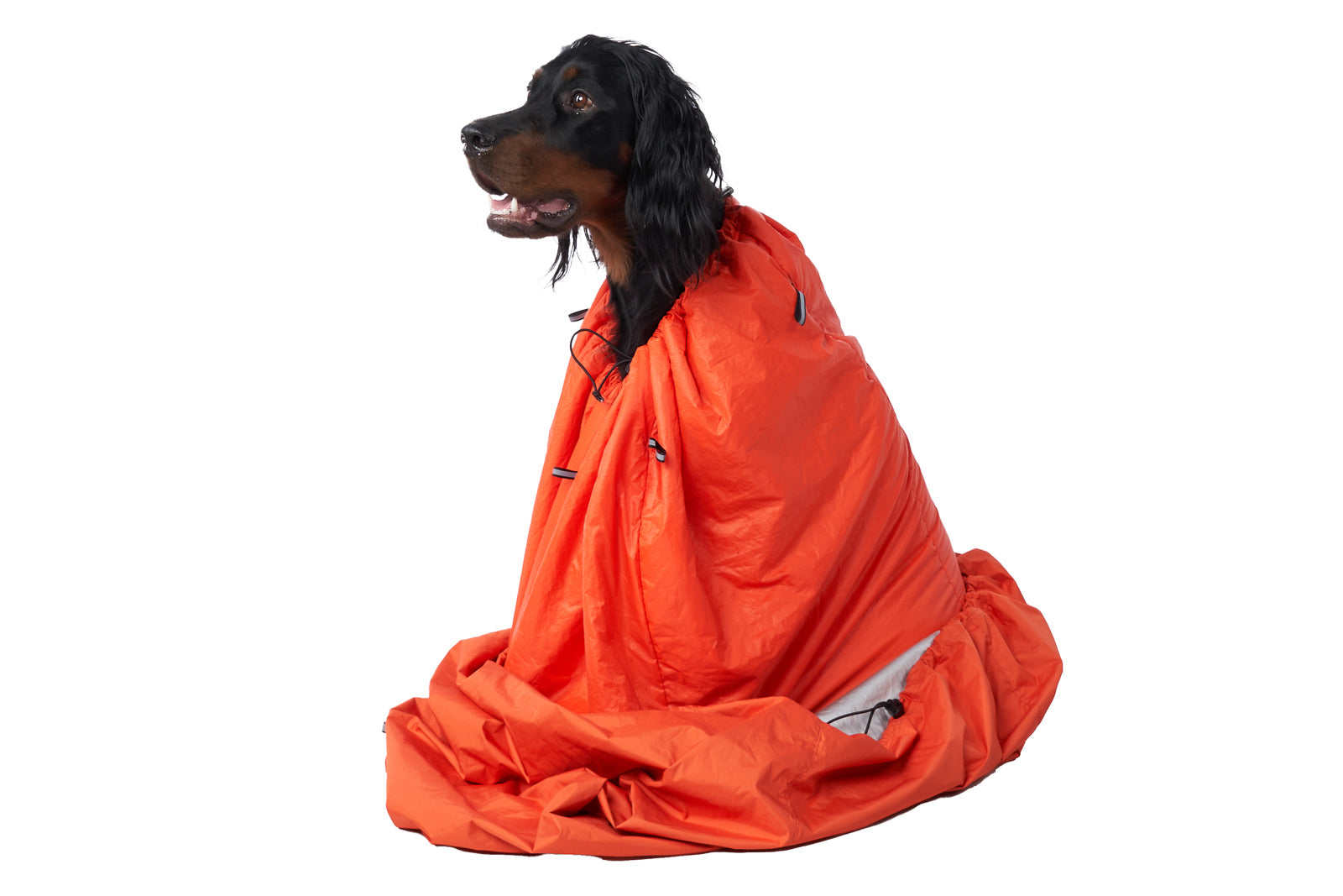 non-stop-dogwear-protector-bivvy-bag-hunde-schlafsack image 2
