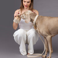 william-walker-prestige-leder-hundehalsband-almond-beige image 7
