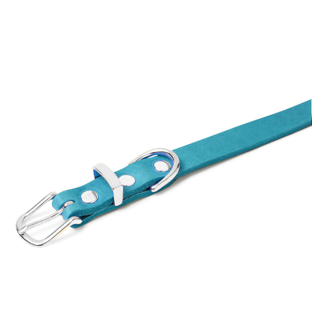 molly-and-stitch-butter-leather-hundehalsband-fiji-blue image 6