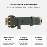 william-walker-leder-hundehalsband-dark-moss-dunkelgr-n image 3