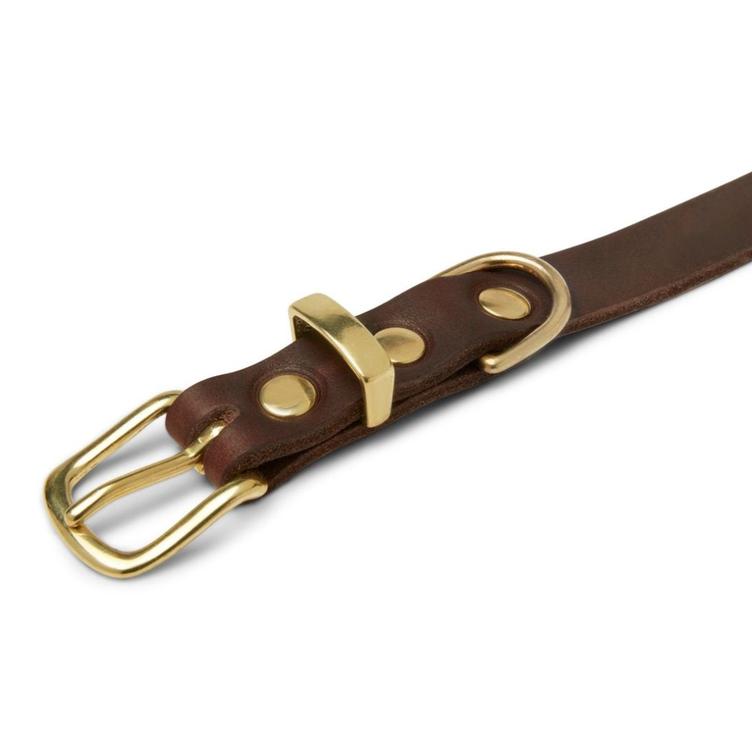 molly-and-stitch-butter-leather-hundehalsband-classic-brown image 3