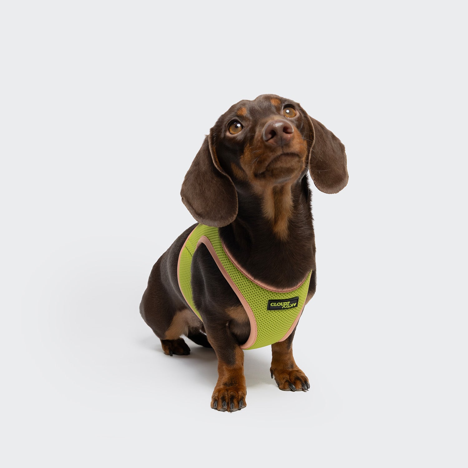 cloud7-v-1-westengeschirr-aktiv-air-mesh-peach-neon-green-f-r-kleine-hunde image 2