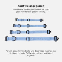 william-walker-jacquard-nylon-hundehalsband-sky-hellblau image 3
