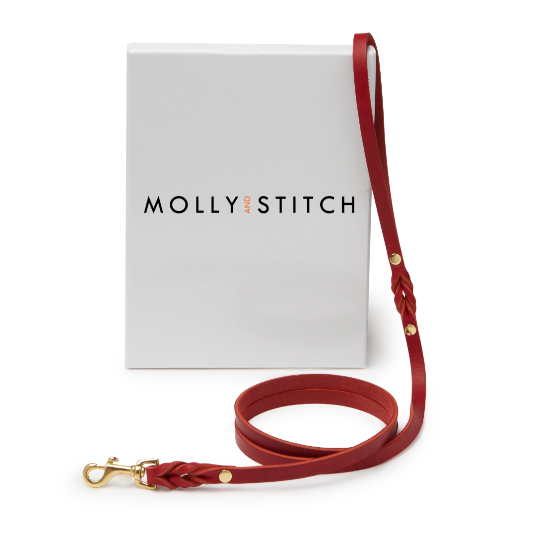 molly-and-stitch-butter-leather-city-hundeleine-140-cm-chili-red image 1