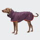 cloud7-aktiv-hunderegenmantel-aubergine-orange-2 image 5
