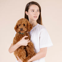 william-walker-leder-hundehalsband-prestige-forest-dunkelgr-n-geflochten image 7