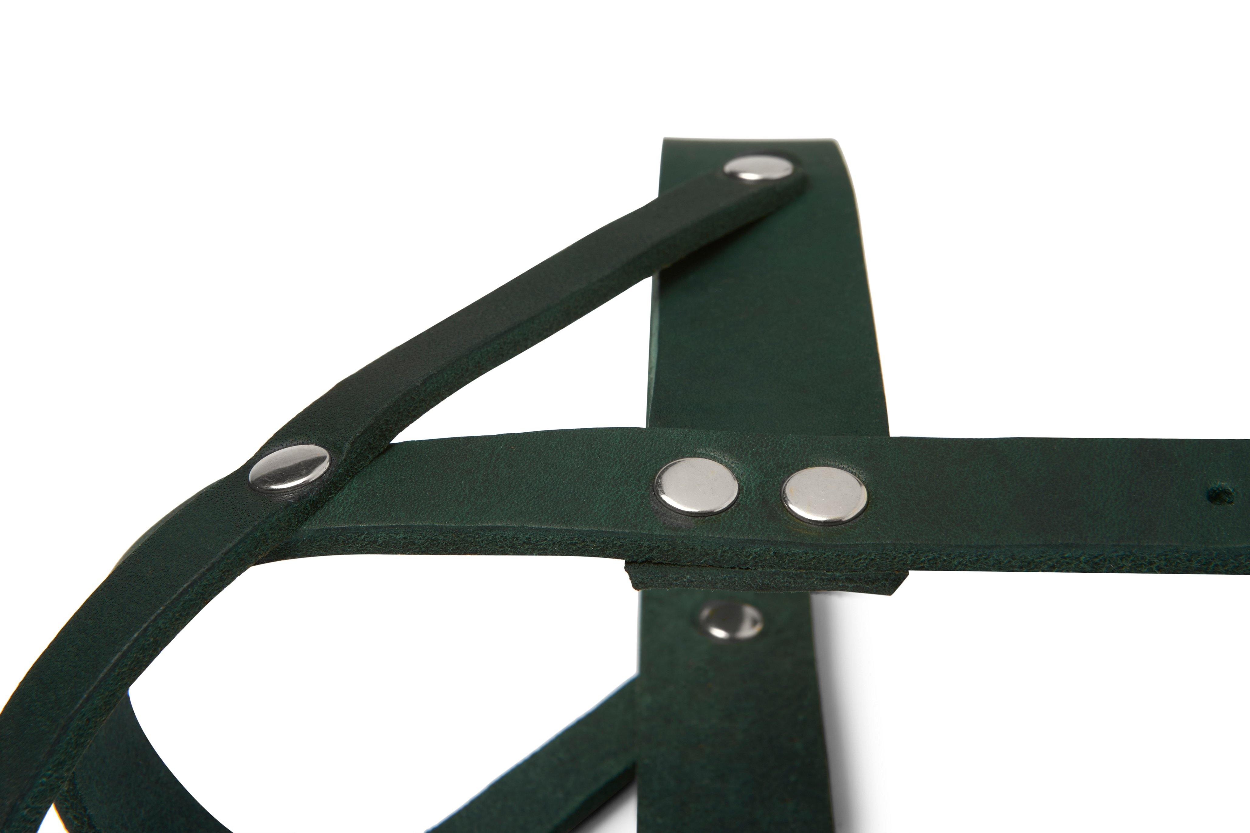 molly-and-stitch-butter-leather-hundegeschirr-forest-green image 6