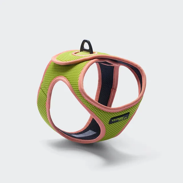 cloud7-v-1-westengeschirr-aktiv-air-mesh-peach-neon-green-f-r-kleine-hunde image 1
