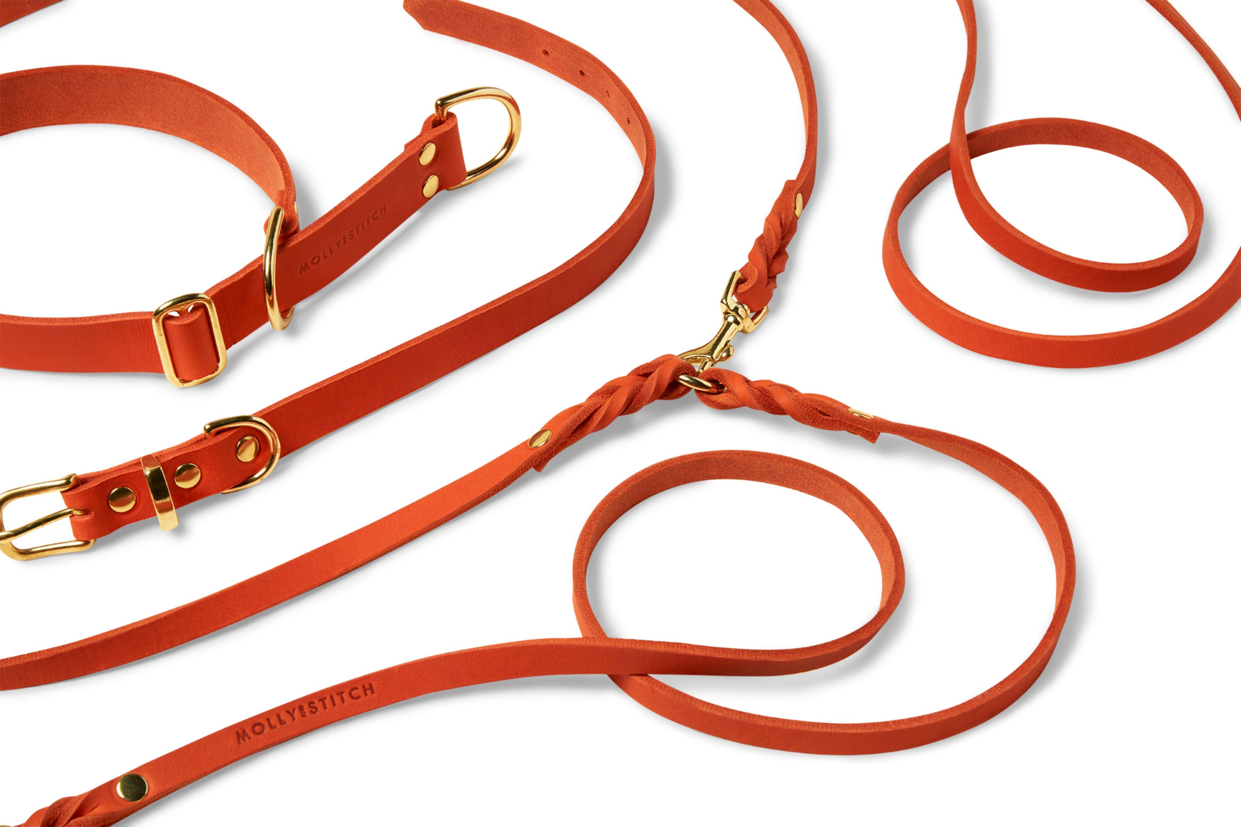 molly-and-stitch-butter-leather-hundeleine-mango-3x-verstellbar-200-cm image 8