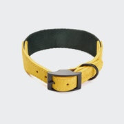 cloud7-hundehalsband-wide-maksimir-park-green-yellow image 3