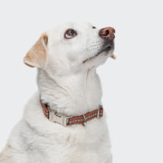cloud7-dog-collar-click-prater-sunset-veganes-halsband-verstellbar image 3