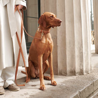 william-walker-prestige-bundle-konfigurator-walking-set image 3