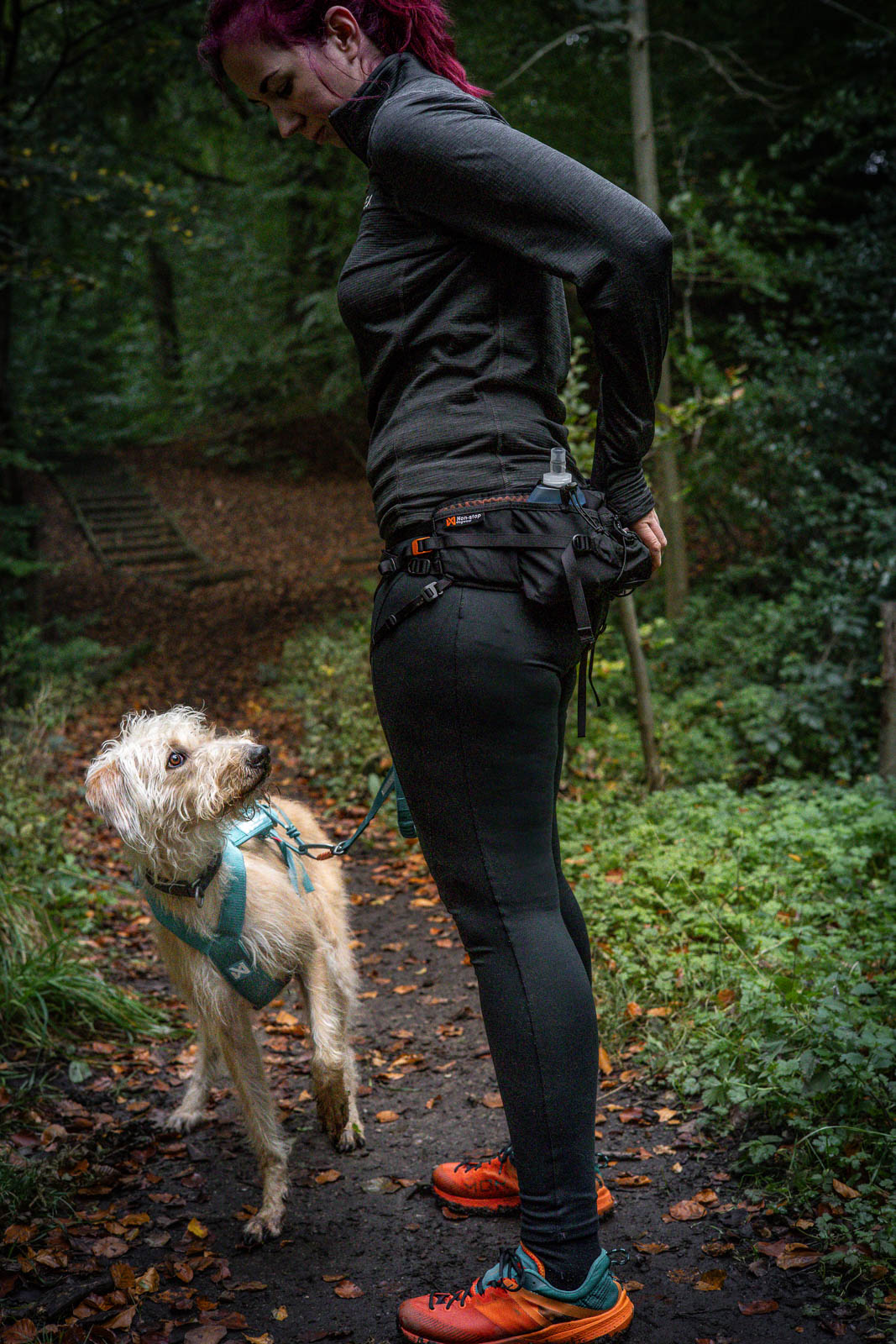 non-stop-dogwear-trail-light-belt-trailrunning-g-rtel-3l-mit-5-taschen image 2