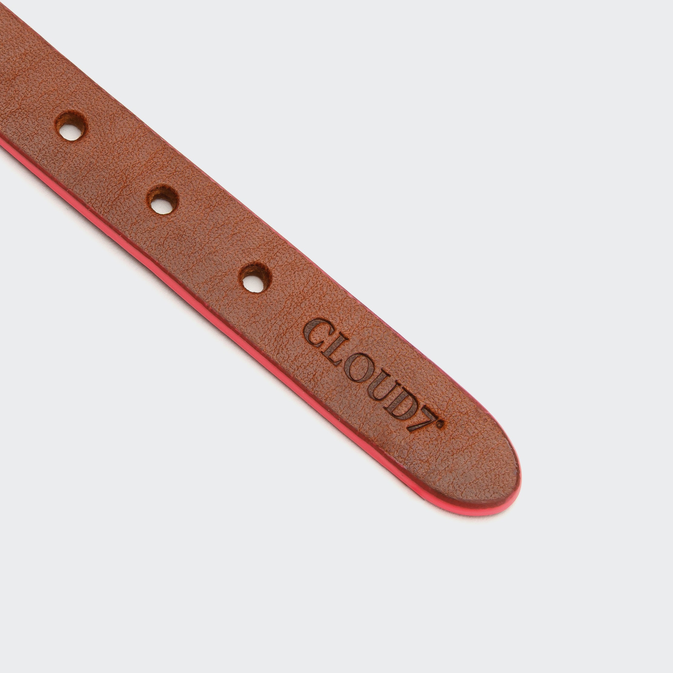 cloud7-prince-park-hundehalsband-leder-cognac-pink image 5