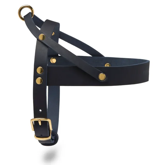 molly-and-stitch-butter-leather-hundegeschirr-navy-blue image 1