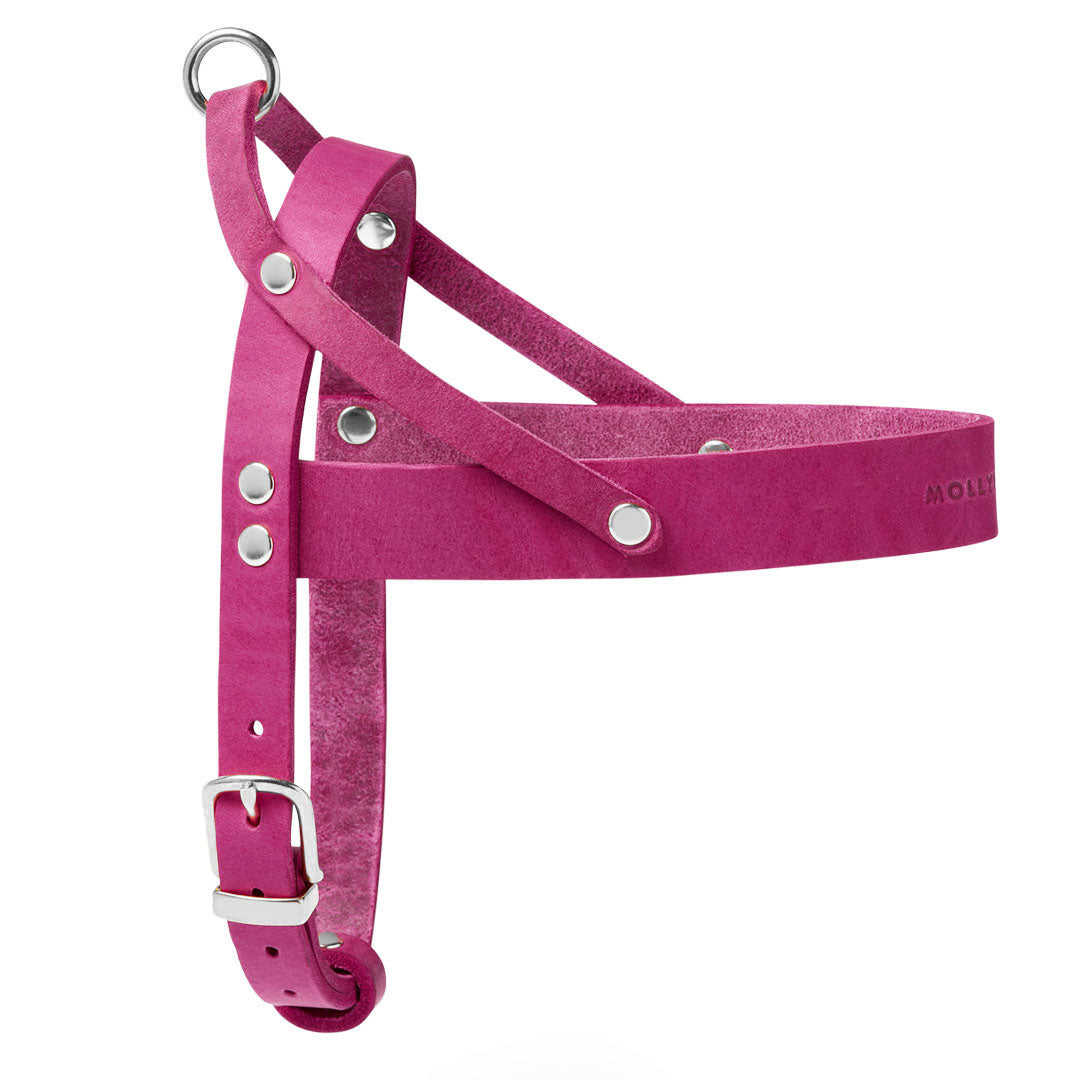 molly-and-stitch-butter-leder-hundegeschirr-flamingo image 3