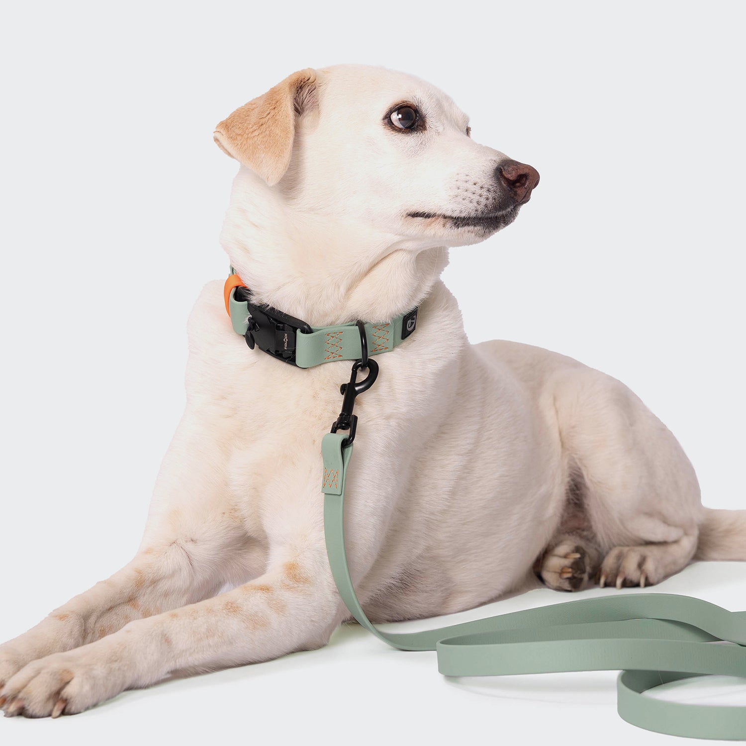 cloud7-ipanema-hundehalsband-biothane-mint-neon-orange image 5