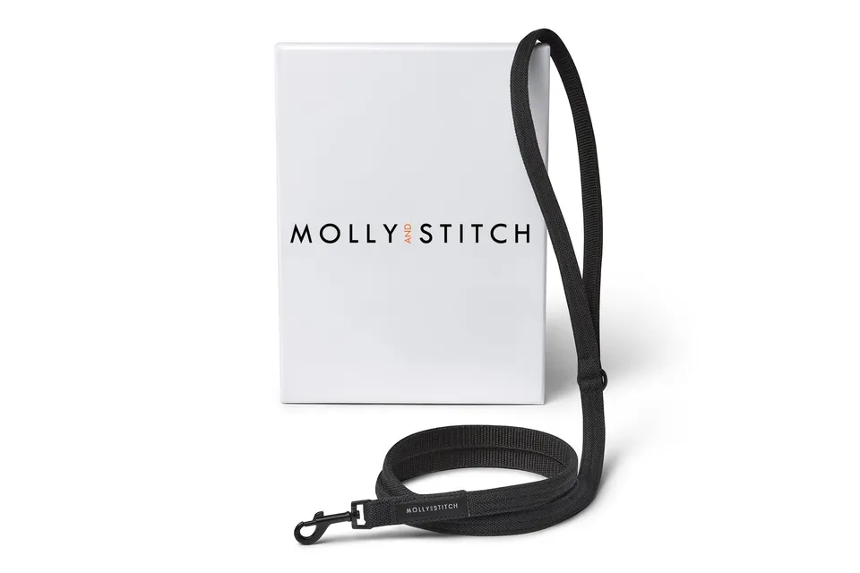 molly-and-stitch-soft-rock-city-hundeleine-black image 1