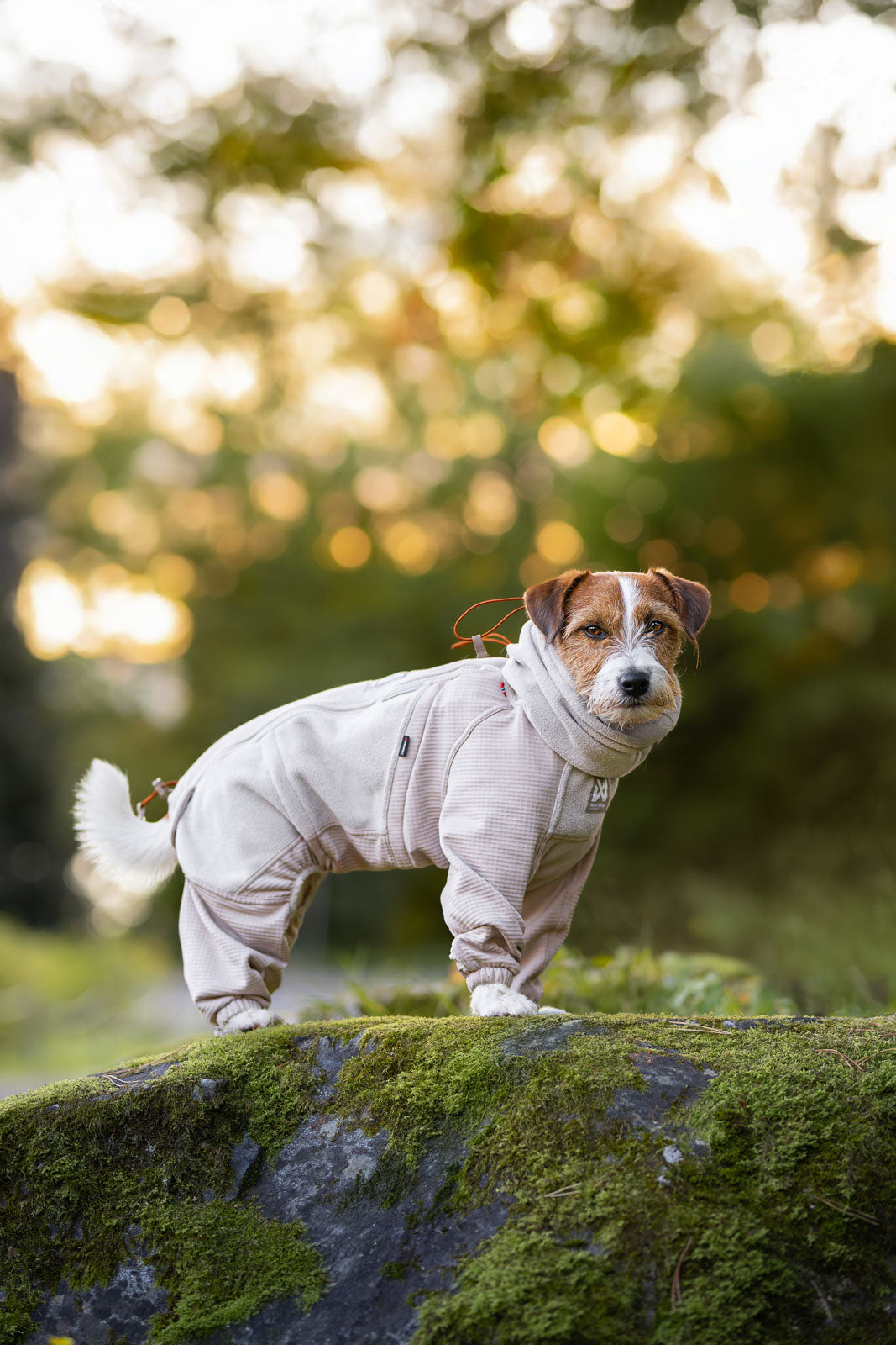 non-stop-dogwear-trail-quest-fleece-overall-hundeoverall image 5