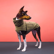 cloud7-yukon-teddy-hundemantel-khaki image 2