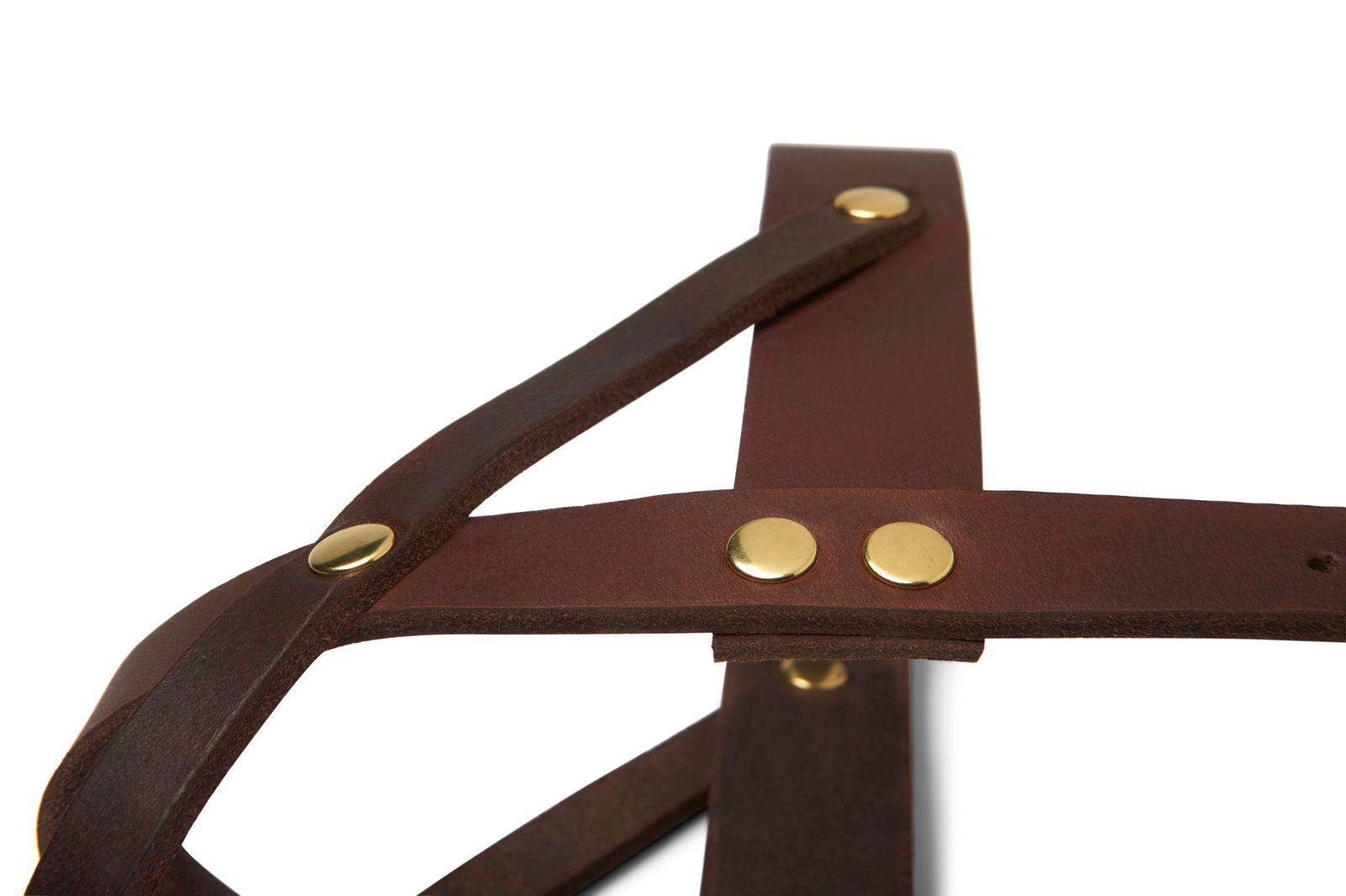 molly-and-stitch-butter-leather-hundegeschirr-classic-brown image 5