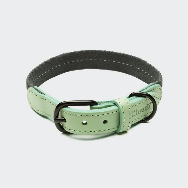 cloud7-madeira-hundehalsband-mint-baumwolle-leder image 1