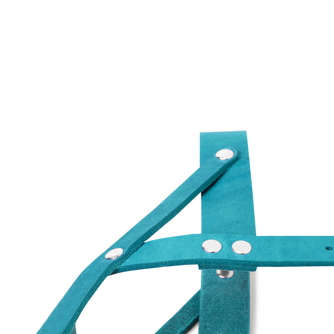 molly-and-stitch-butter-leather-hundegeschirr-fiji-blue image 7
