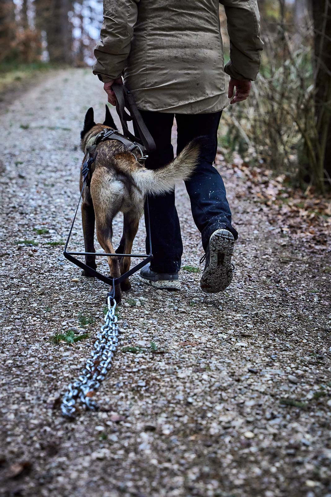 non-stop-dogwear-pulling-attachment-wd-zubeh-r-f-r-das-freemotion-harness-wd image 3