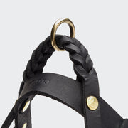 cloud7-central-park-hundegeschirr-leder-black-gold image 2