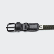 cloud7-mauerpark-olive-hundehalsband-vegan-kaktusleder image 2