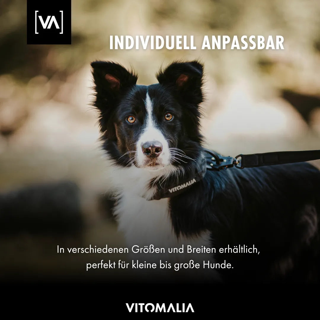 vitomalia-extreme-edition-hundehalsband-schwarz-taktisch image 8