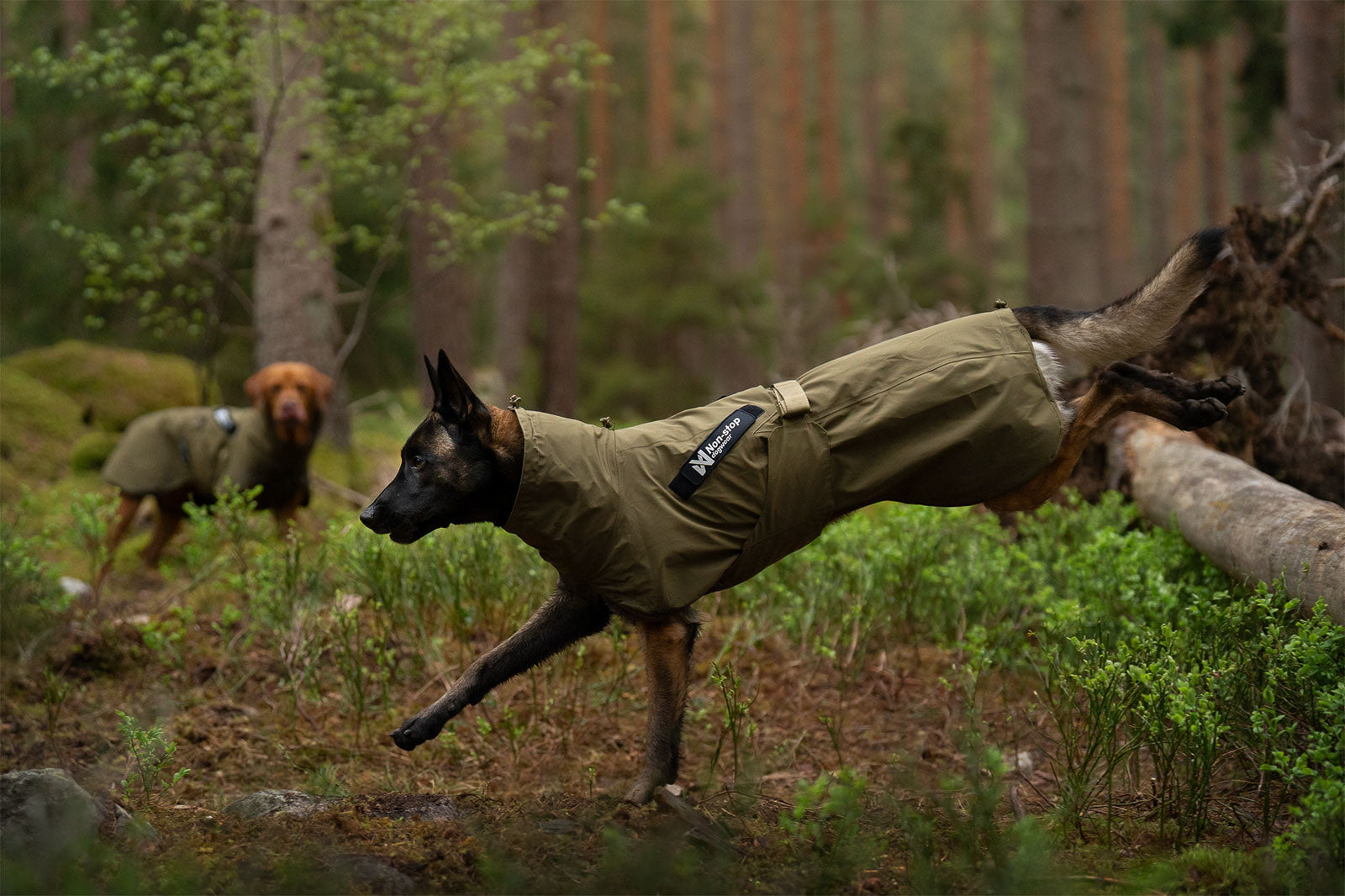 non-stop-dogwear-fjord-raincoat-wd-hunderegenmantel-15-000-mm image 2