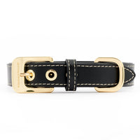 william-walker-leder-hundehalsband-noir-schwarz-auslaufmodell image 2