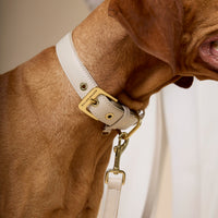 william-walker-glattleder-hundehalsband-almond-beige image 7