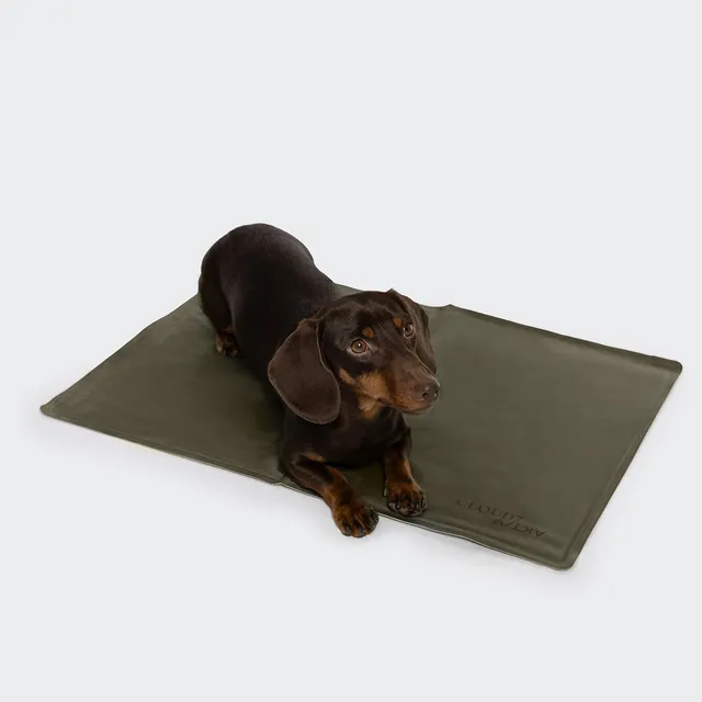cloud7-hundek-hlmatte-aktiv-dark-olive image 1
