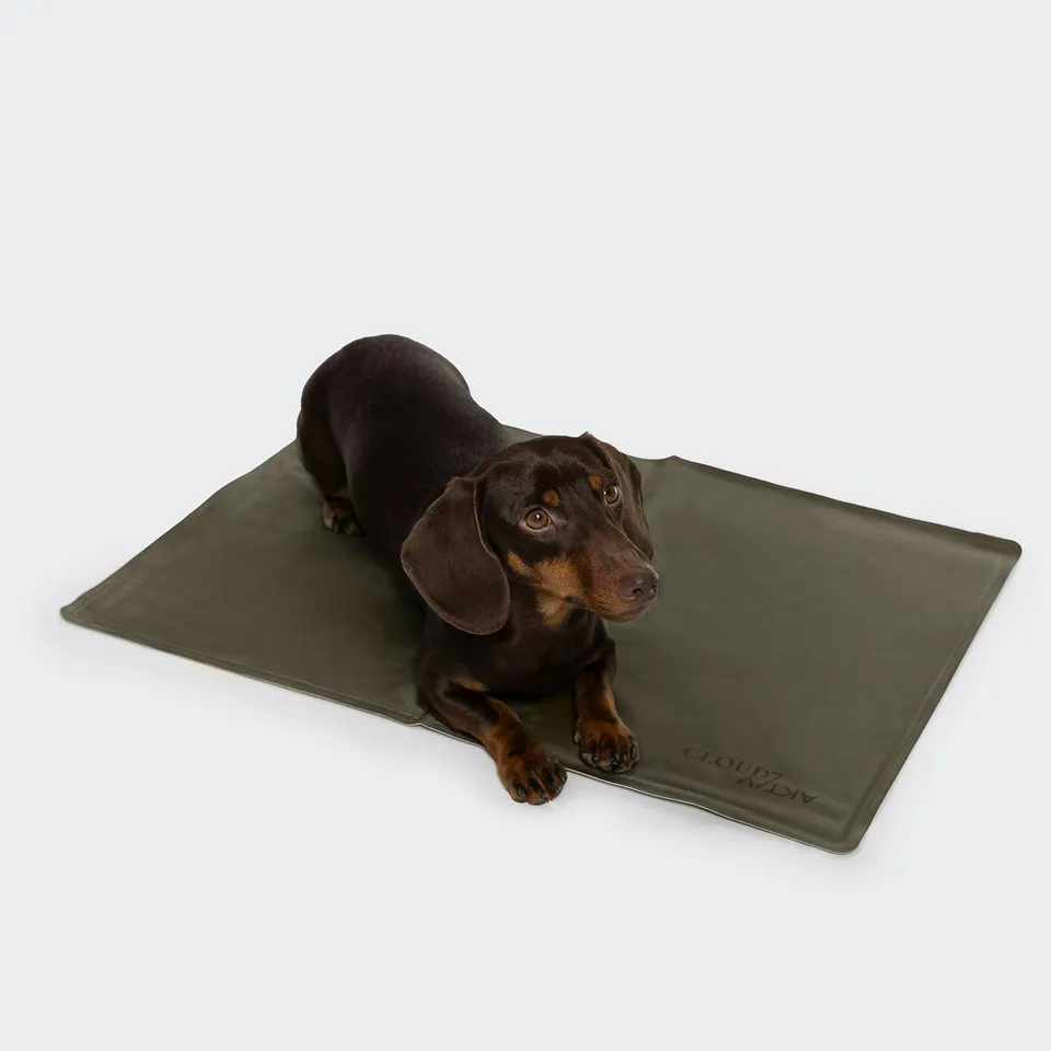 cloud7-hundek-hlmatte-aktiv-dark-olive image 1