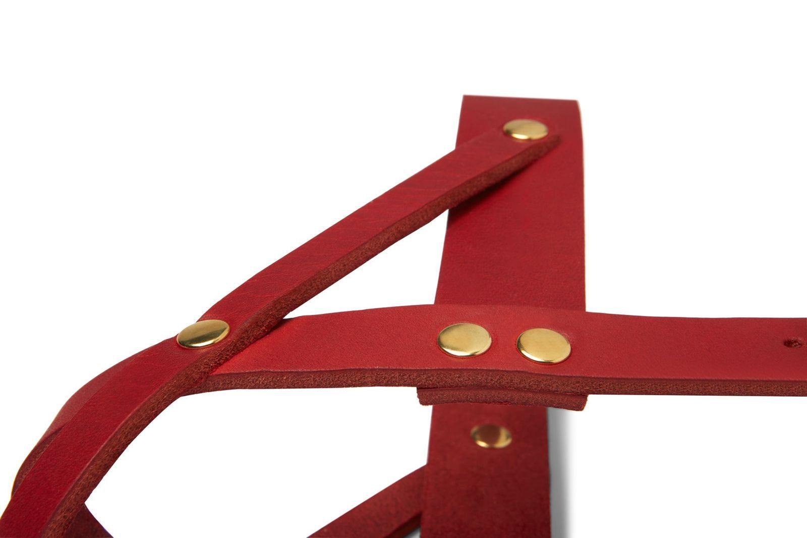 molly-and-stitch-butter-leather-hundegeschirr-chili-red image 5