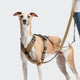 cloud7-y-2-harness-aktiv-cordura-khaki-hundegeschirr image 4