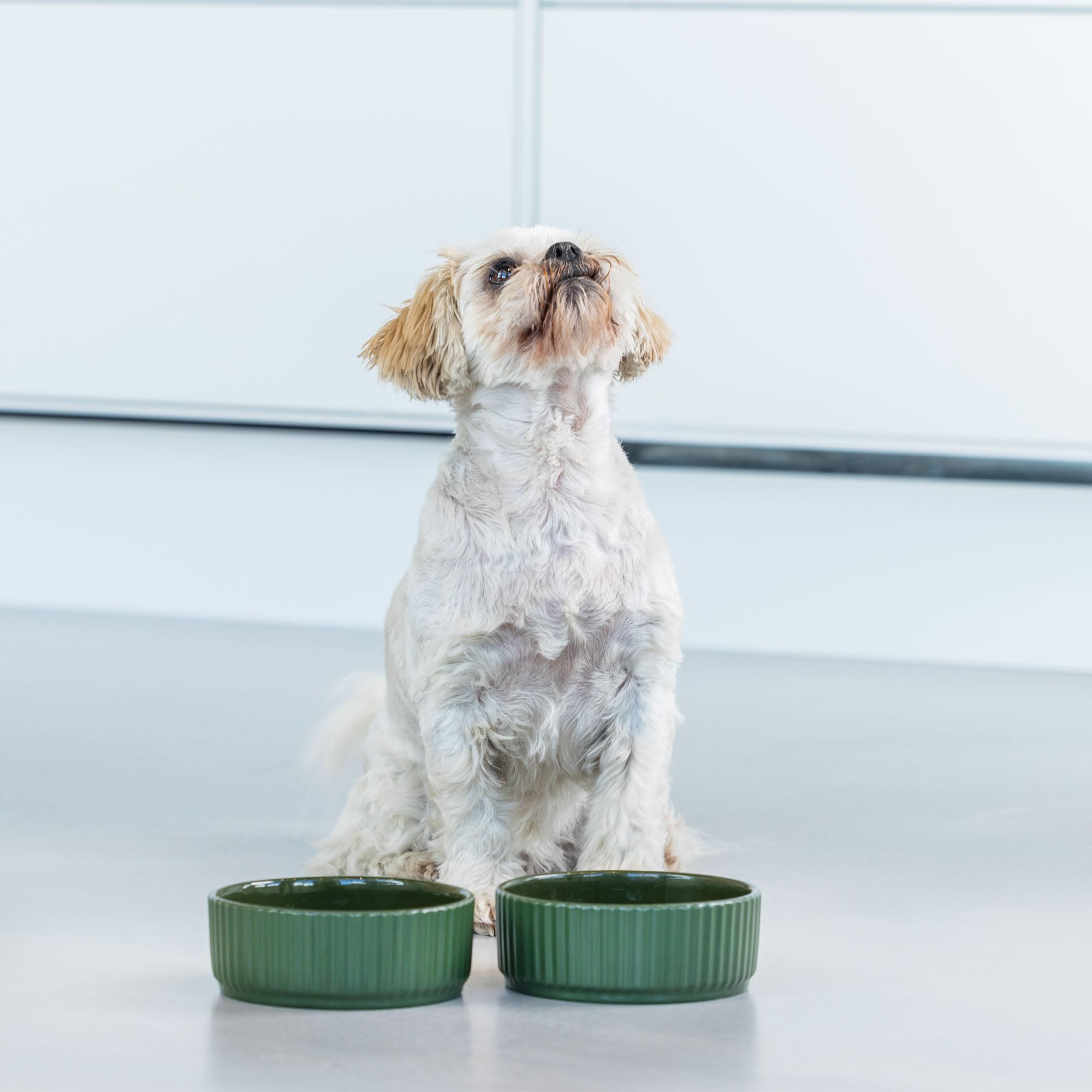 dog-copenhagen-kronborg-hundenapf-keramik-m-mint-green image 7