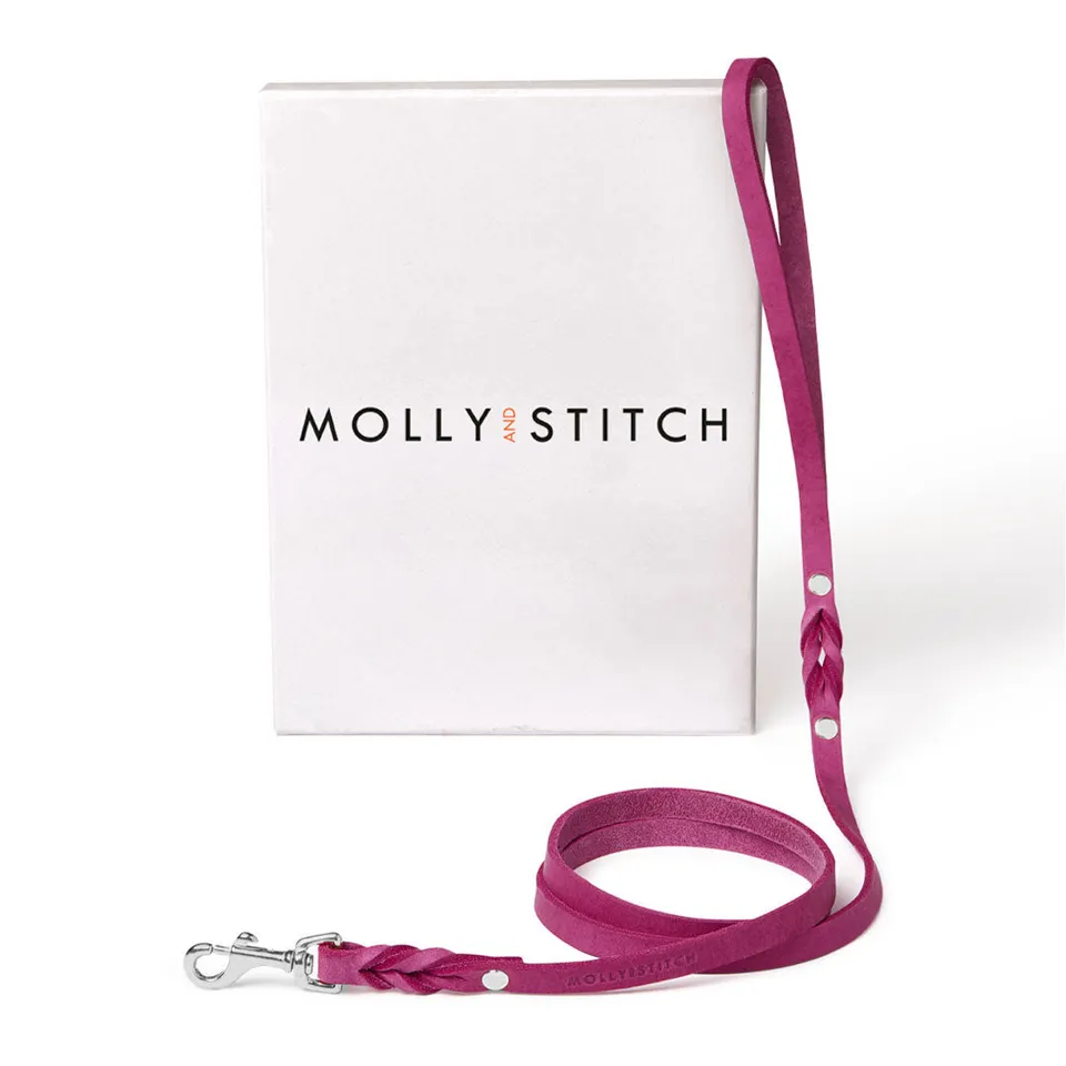 molly-and-stitch-city-hundeleine-aus-butterleder-flamingo image 1
